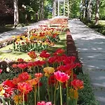 Lili * Polanica-Zdrój