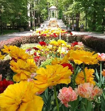 Apartament Lili Polanica-Zdrój