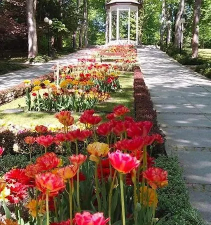 Lili * Polanica-Zdrój