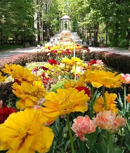 アパート Lili ポラニツァ・ズドゥルイ