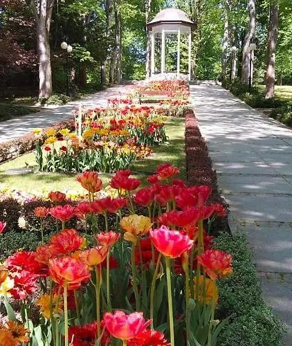 Lili * Polanica-Zdrój